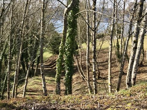 South Ridge Dr, Bay City, OR 97107