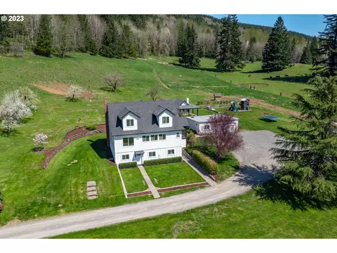 29416 NE Healy Rd, Amboy, WA 98601
