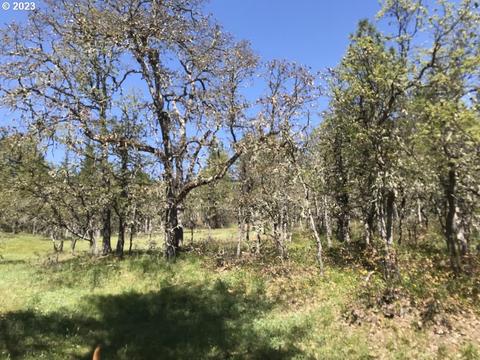 Long Rd, Wahkiacus, WA 98670