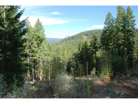 09 S3729dd Tl-200, Sumpter, OR 97877