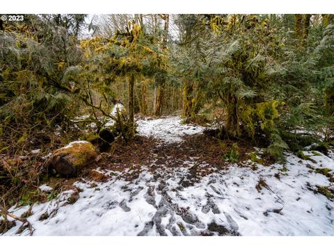 E Henry Creek Rd, Rhododendron, OR 97049