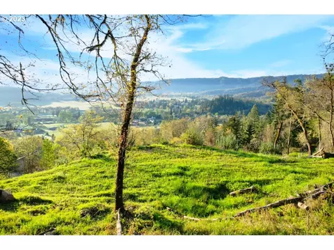 Black Oak Dr, Roseburg, OR 97471