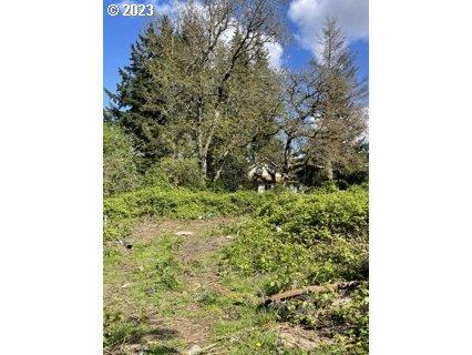 31231 SE Bluff Rd, Gresham, OR 97080