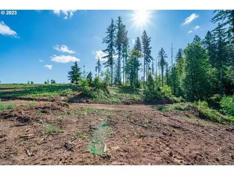 0 S Silver Lake Rd #1, Castle Rock, WA 98611