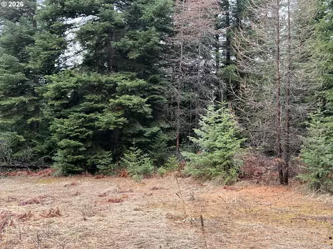 00 Highway 204, Weston, OR 97886