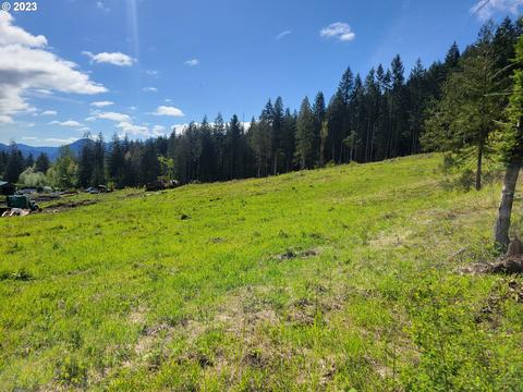 Brooks Rd, Carson, WA 98610
