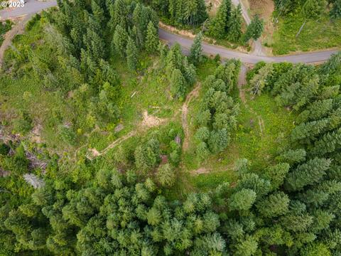 422 Boulder Ridge Dr #LOT 9, Carson, WA 98610