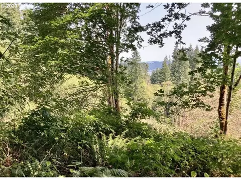 fern hill rd, Rainier, OR 97048