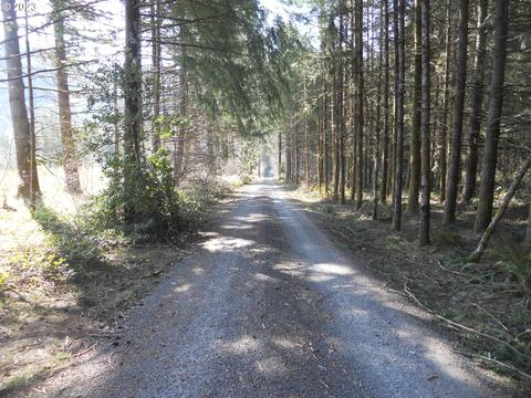 NE Basket Flat Rd, Battle Ground, WA 98604