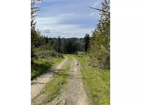 20800 S Mattoon Rd, Estacada, OR 97023 photo 1