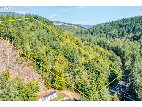 NE Sunset Falls Rd, Yacolt, WA 98675