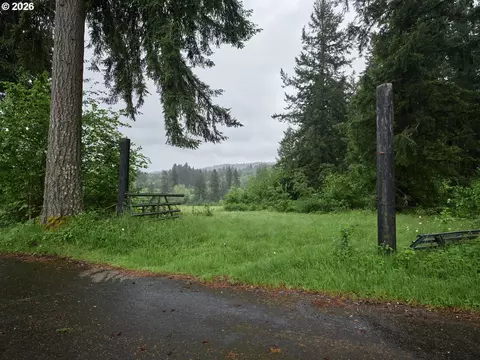 00 NE 389th St, Amboy, WA 98601