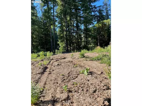 Cascadia Dr, Cascadia, OR 97329