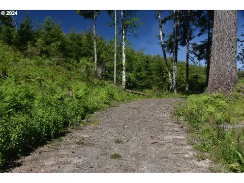 Monster Mountain Dr, Scappoose, OR 97056