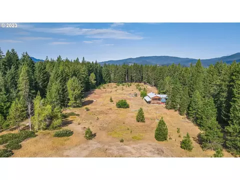 66 Lava Rd, Trout Lake, WA 98650