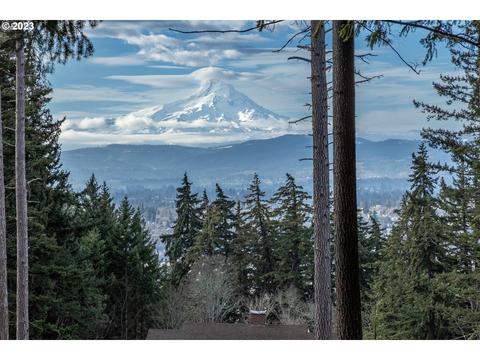 698 Summer Ln, White Salmon, WA 98672