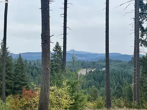 Gowdyville, Cottage Grove, OR 97424