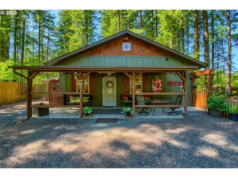 271 Heslen Rd, Carson, WA 98610 photo 1
