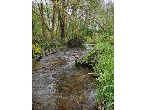 Maple Rd, Seaside, OR 97138