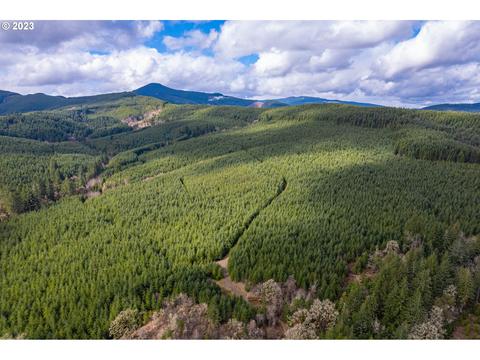 0 Lee Rd #100, Monroe, OR 97456