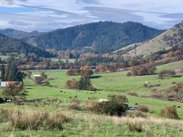  15084 Tiller Trail Hwy, Days Creek, OR 97429 photo 1