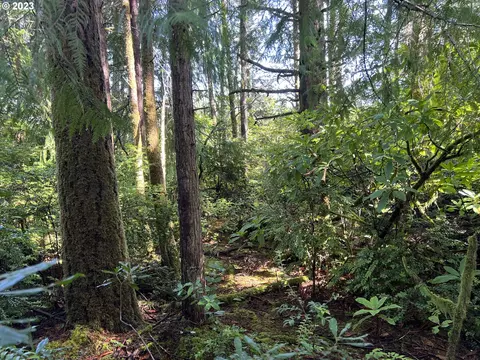 Evergreen Ln, Port Orford, OR 97465