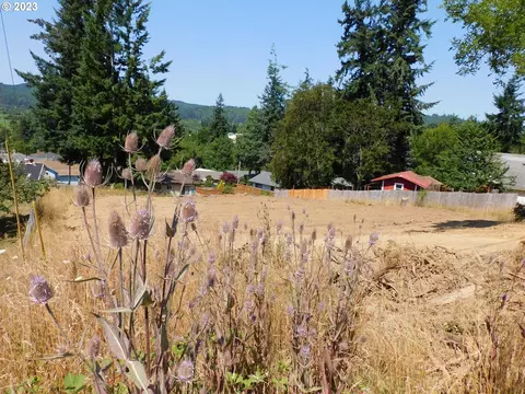19 Th St, Myrtle Point, OR 97458