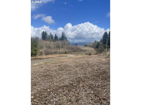 4195 Columbia Heights Rd #2, Longview, WA 98632