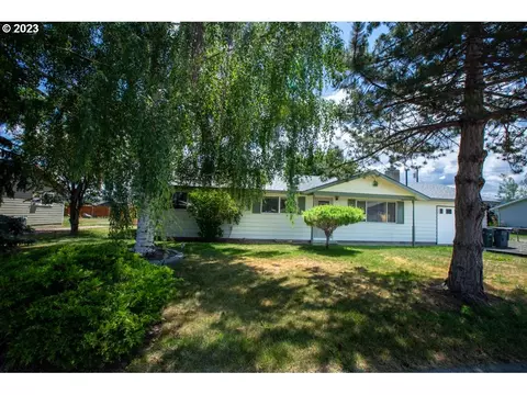 10307 Mount Fanny Ave, Island City, OR 97850