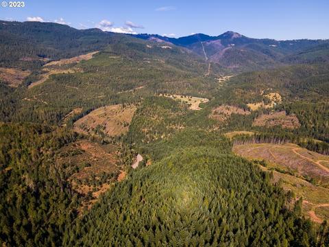 Tiller Trail Hwy, Tiller, OR 97484