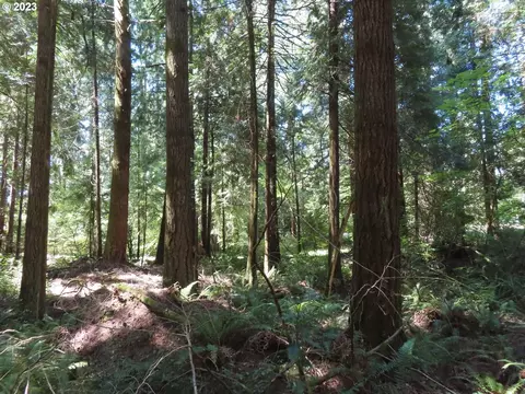 Logan Hill Rd, Chehalis, WA 98532