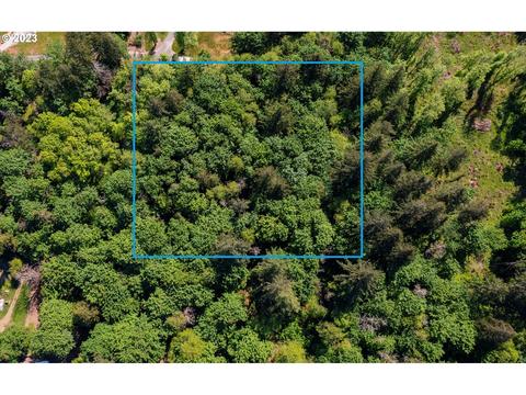 0 NE 147th Ave, Yacolt, WA 98675