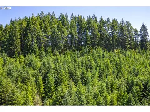 53010 Timber Rd, Vernonia, OR 97064
