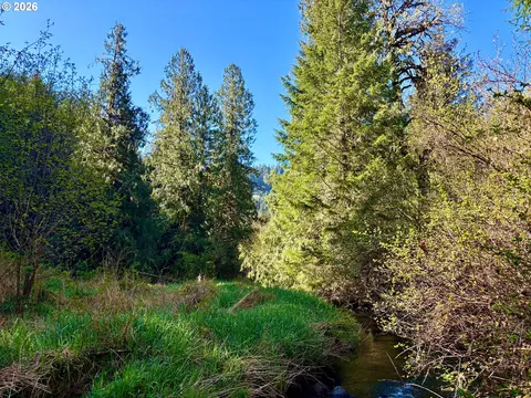 S. Fork Rd, Alsea, OR 97324 photo 8