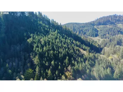 S. Fork Rd, Alsea, OR 97324 photo 5