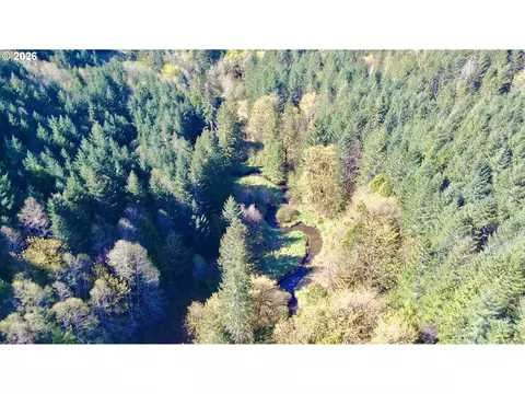 S. Fork Rd, Alsea, OR 97324 photo 4