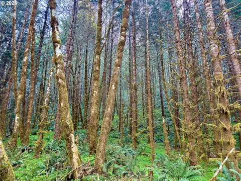 S. Fork Rd, Alsea, OR 97324 photo 11
