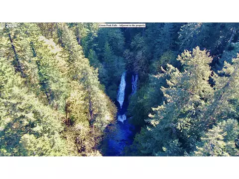 S. Fork Rd, Alsea, OR 97324 photo 19