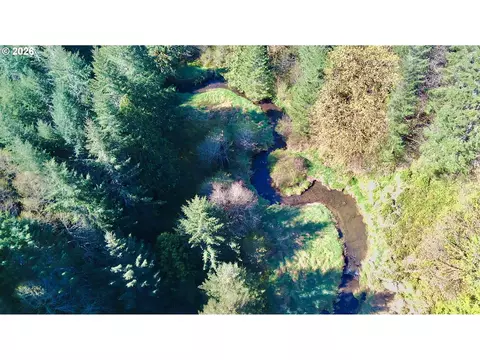 S. Fork Rd, Alsea, OR 97324 photo 2