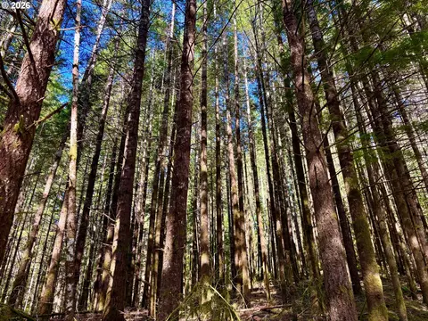 S. Fork Rd, Alsea, OR 97324 photo 16
