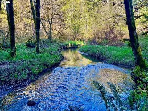 S. Fork Rd, Alsea, OR 97324 photo 6
