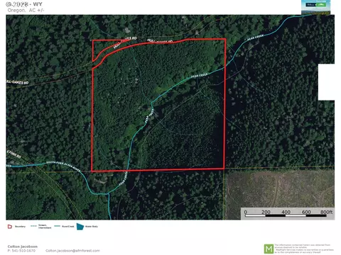 S. Fork Rd, Alsea, OR 97324 photo 20