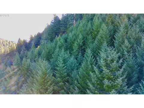S. Fork Rd, Alsea, OR 97324 photo 18