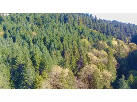 S. Fork Rd, Alsea, OR 97324 photo 3
