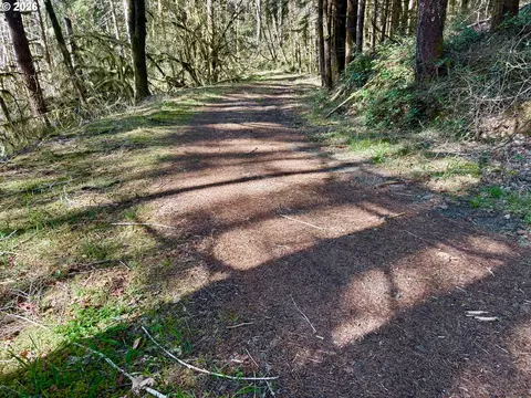 S. Fork Rd, Alsea, OR 97324 photo 17