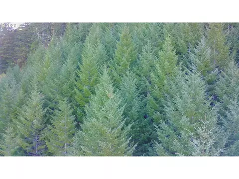 S. Fork Rd, Alsea, OR 97324 photo 10