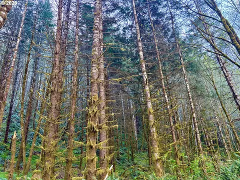 S. Fork Rd, Alsea, OR 97324 photo 12