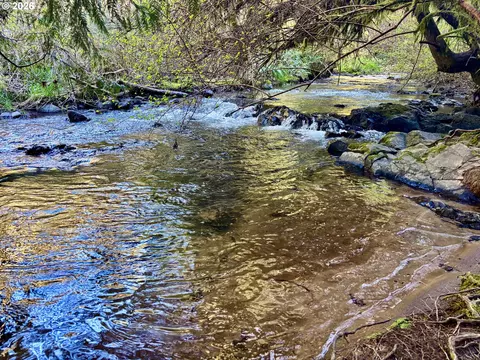 S. Fork Rd, Alsea, OR 97324 photo 13