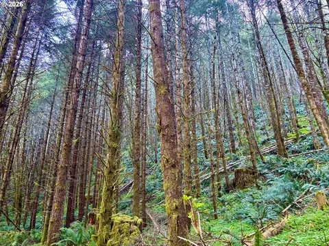S. Fork Rd, Alsea, OR 97324 photo 14