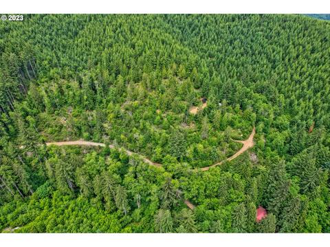 43147 NW Hidden Mountain Dr, Banks, OR 97106